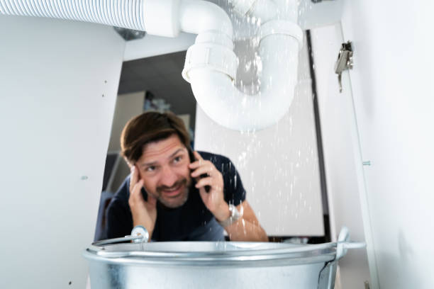 Best Plumbing Inspection Services  in Biltmore, TN